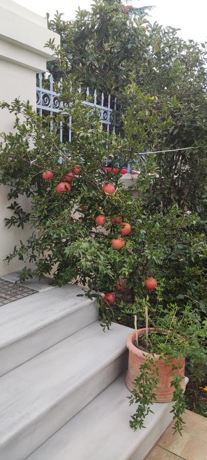 Dora'S Home With Garden Golos Dış mekan fotoğraf