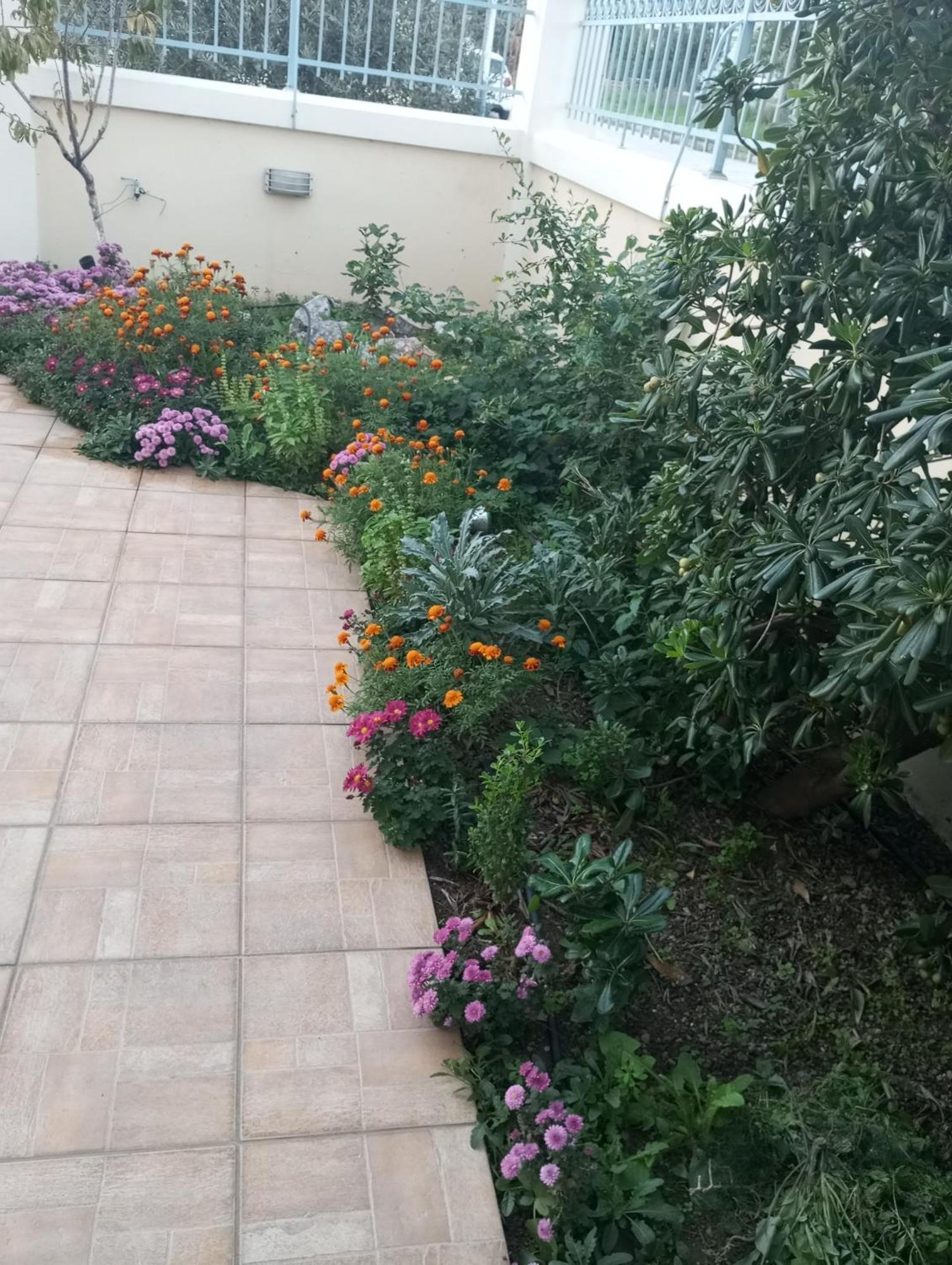 Dora'S Home With Garden Golos Dış mekan fotoğraf